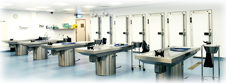 What Exactly Does a Mortician Do